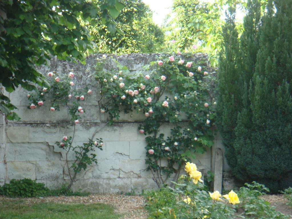 Villa Chanelle Les Rosiers Buitenkant foto